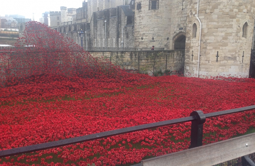 Poppies